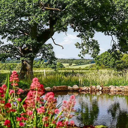 Mere Croft * Sebergham